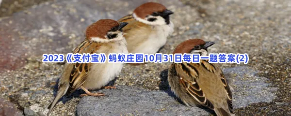 在秋冬季节,麻雀会选择以下哪种方式御寒?-2023支付宝蚂蚁庄园10月31日每日一题答案(2)