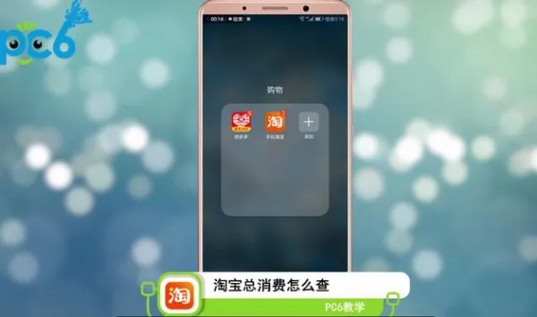 淘宝总消费怎么查-应用教程