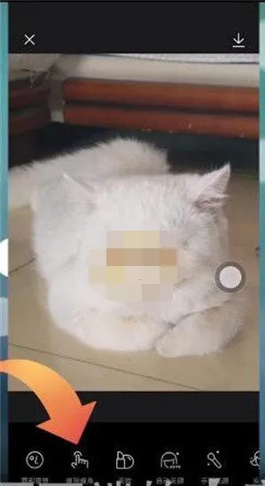 醒图怎么一键瘦脸-醒图一键瘦脸的方法分享