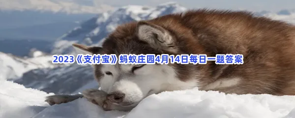 猜一猜:名犬