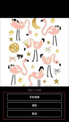 豆瓣怎么换背景图 调整封面图片的设置方法