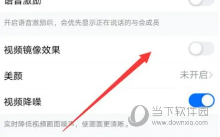 钉钉怎么开启视频镜像 设置方法教学