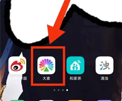 大麦app怎么加好友 大麦app加好友聊天方法-大麦教程