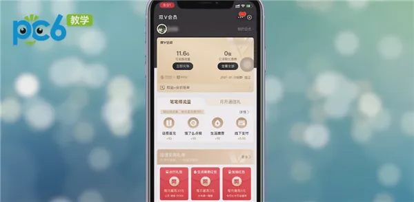 支付宝移动双v会员收费吗-应用教程