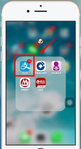 支付宝好医保哪里买-应用教程