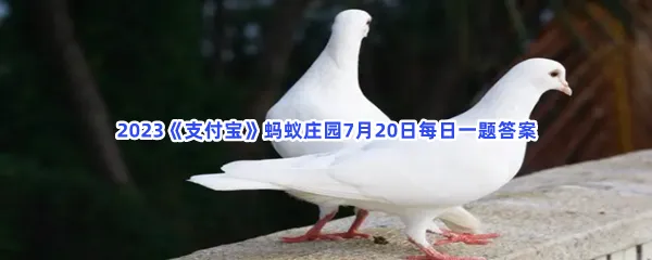 为什么鸽子走起路来总在点头?-2023支付宝蚂蚁庄园7月20日每日一题答案