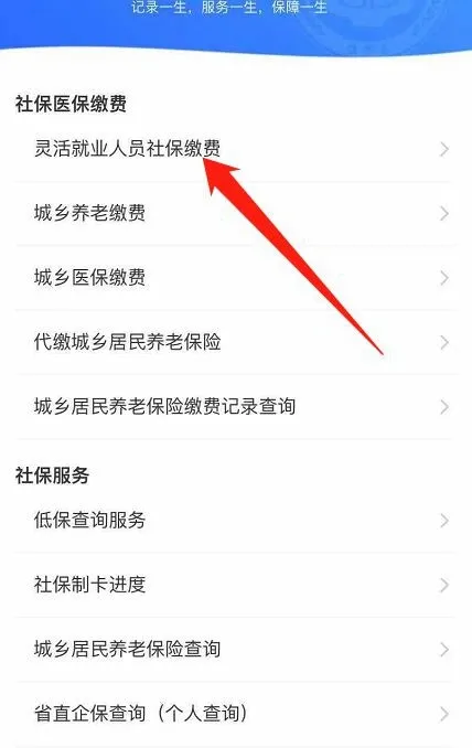 支付宝为什么交不了社保-应用教程