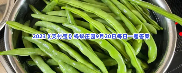 以下哪种蔬菜在烹炒之前最好先焯水?-2023支付宝蚂蚁庄园9月20日每日一题答案