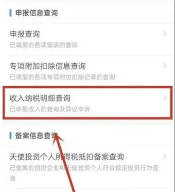 个人所得税怎么查-应用教程
