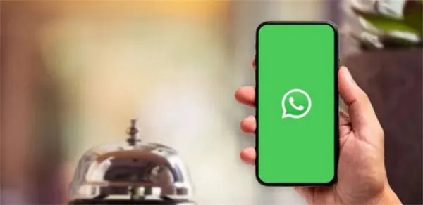 WhatsApp怎么养号-whatsapp教程