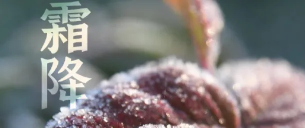 诗句风卷清云尽,空天万里霜形容的是哪个节气?-2023支付宝蚂蚁庄园10月24日每日一题答案