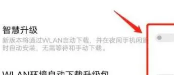 iqoo如何屏蔽系统升级-应用教程
