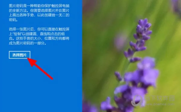 Windows11怎么设置图片密码 Win11图像密码设置教程