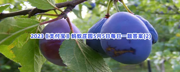 小鸡宝宝教你:挑水果以下哪种西梅更新鲜-2023支付宝蚂蚁庄园5月5日每日一题答案(2)
