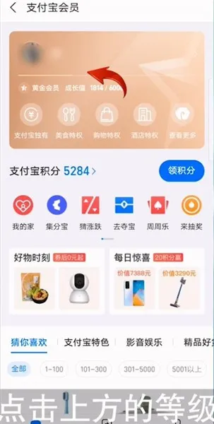 支付宝会员等级怎么看-应用教程