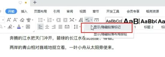 wps最后一页空白页删除不了解决方法-WPS Office教程