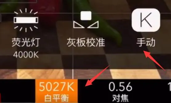 promovie使用教程拍美食-应用教程