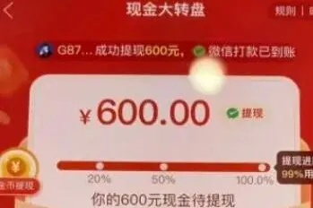 拼多多有人提现过600吗-拼多多教程
