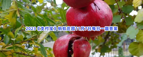 石榴表皮的颜色越红,吃起来越甜?-2023支付宝蚂蚁庄园11月7日每日一题答案
