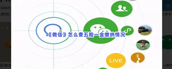 微信怎么查五险一金缴纳情况-微信查五险一金缴纳情况的方法是什么