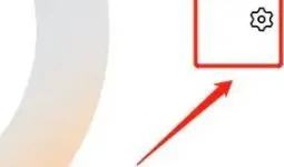 iqoo如何屏蔽系统升级-应用教程