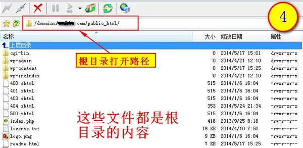 根目录是哪个文件夹 根目录在哪-应用教程