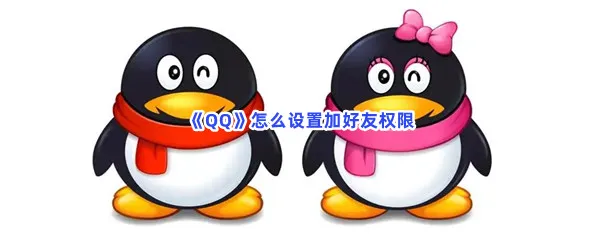 QQ怎么设置加好友权限-QQ设置加好友权限的流程一览