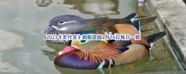 猜一猜鸳鸯中羽毛更为艳丽的通常是什么性别呢-2023支付宝蚂蚁庄园2月16日每日一题答案