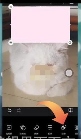 醒图怎么使用色卡-醒图使用色卡的步骤介绍