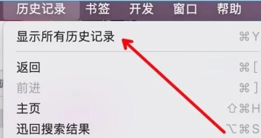 safari历史记录查看位置-应用教程