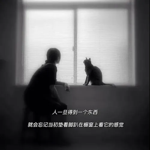 每一个人的出现 会让你觉得人间值得图片-应用教程