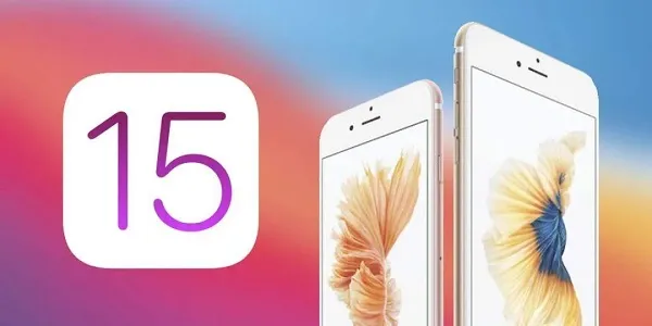 苹果ios15设备管理信任不见了解决方法-应用教程