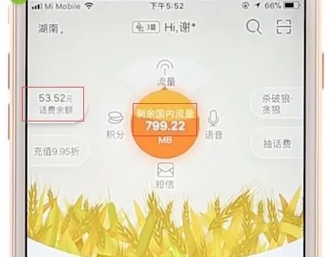 电信怎样查话费流量 电信话费流量查询教程-应用教程