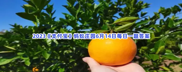 脐橙里面长出了