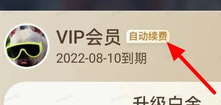 爱奇艺会员连续包月能随时取消吗-爱奇艺教程