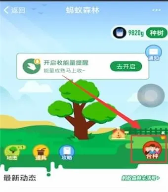蚂蚁森林合种怎么退出-应用教程