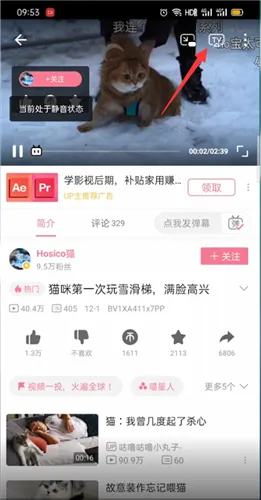 哔哩哔哩怎么投屏-哔哩哔哩教程