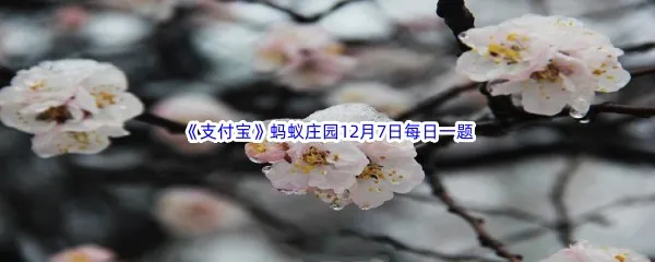 俗话说大雪不冻惊蛰不开大雪节气不上冻明年可能会出现什么现象呢-2022支付宝蚂蚁庄园12月7日每日一题答案