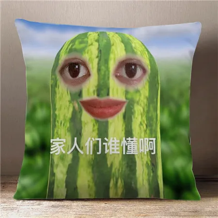 家人们谁懂啊怎么配音 家人们谁懂啊表情包一览-应用教程