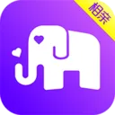 恋爱相亲类软件有哪些值得下载-恋爱相亲类软件推荐