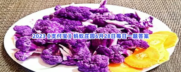 清炒紫色花菜时,加什么调料不容易褪色-2023支付宝蚂蚁庄园6月28日每日一题答案