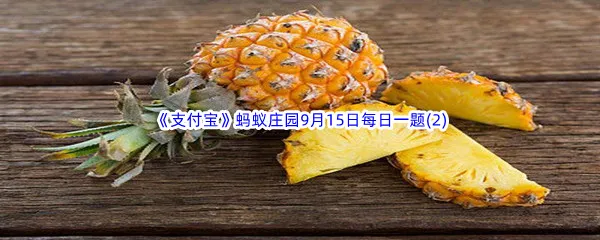 猜一猜:我们平时吃的菠萝是长在哪里的-2022支付宝蚂蚁庄园9月15日每日一题答案(2)