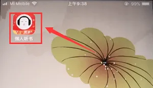 懒人听书怎么改听书顺序-应用教程