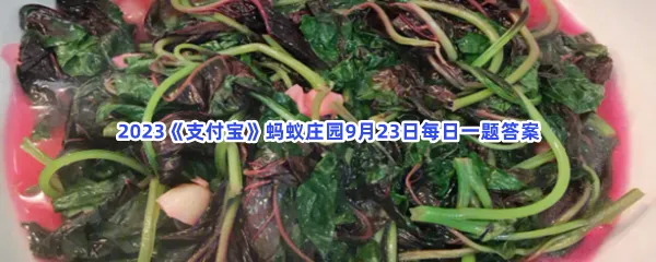 俗话说