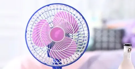 你注意到了吗?电风扇运转时,背面的风通常比正面的风-2023支付宝蚂蚁庄园6月12日每日一题答案(2)