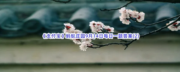 哪种花在古代被称为