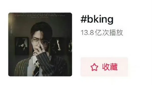 bking是啥意思 bking在饭圈什么意思-应用教程