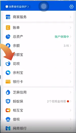 取消花呗支付设置在哪里-应用教程