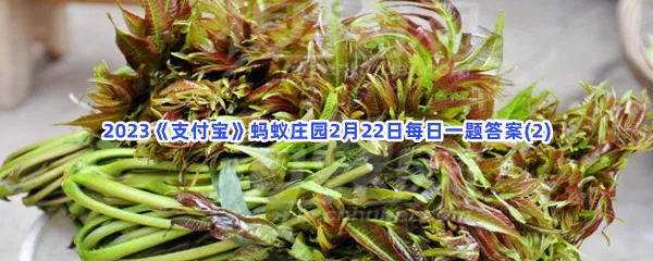 哪种春季时令食物有树上蔬菜之称呢-2023支付宝蚂蚁庄园2月22日每日一题答案(2)