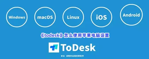 todesk怎么使用苹果电脑设置-todesk使用苹果电脑设置的方法分享